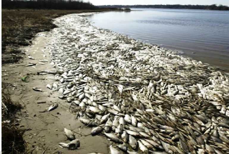 Vấn đề môi trường được quan tâm - Ảnh minh họa